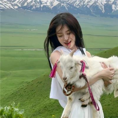 海棠瘦尽春未晚